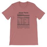 jesus Facts Short-Sleeve Unisex T-Shirt